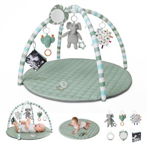 Perfect Baby Play Gym