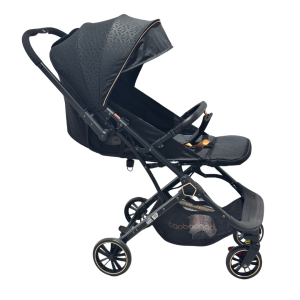 Baohao 2 in 1 Foldable Stroller